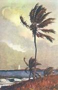 Winslow Homer Palm Tree, Nassau oil